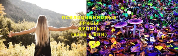 спайс Нея