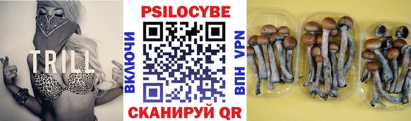 Псилоцибиновые грибы мицелий  ссылка на мегу как войти  Дзержинск  где продают наркотики 