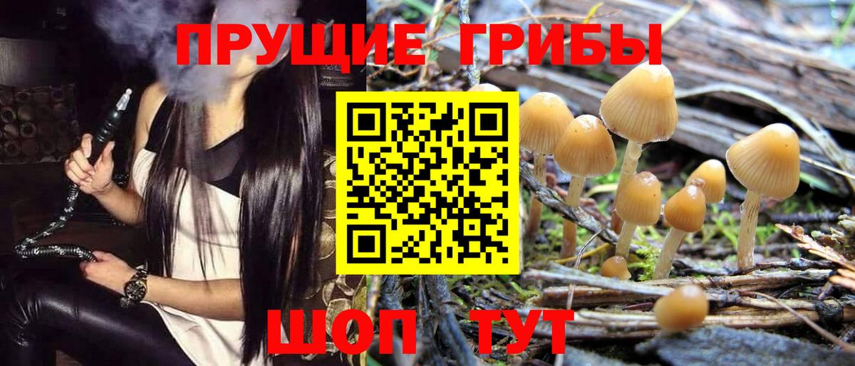 Галлюциногенные грибы Cubensis Дзержинск